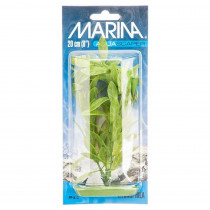 Marina Hygrophila Plant - 8 Tall - EPP-XA10813 | Marina | 2067"