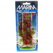 Marina Red Ludwigia Plant - 8 Tall - EPP-XA10819 | Marina | 2067"