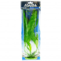 Marina Amazon Sword Plant - 15 Tall - EPP-XA11501 | Marina | 2067"