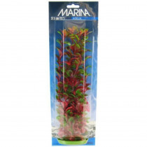 Marina Red Ludwigia Plant - 15 Tall - EPP-XA11519 | Marina | 2067"