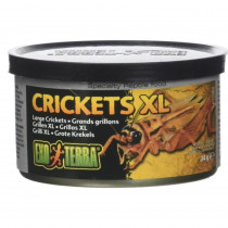 Exo Terra Canned Crickets XL Specialty Reptile Food - 1.2 oz - EPP-XPT1962 | Exo-Terra | 2124