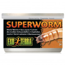 Exo Terra Canned Superworms Specialty Reptile Food - 1.2 oz - EPP-XPT1964 | Exo-Terra | 2124