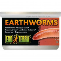 Exo Terra Canned Earthworms Specialty Reptile Food - 1.2 oz - EPP-XPT1968 | Exo-Terra | 2124
