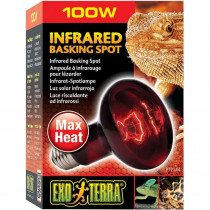 Exo-Terra Heat Glo Infrared Heat Lamp - 100 Watts - EPP-XPT2144 | Exo-Terra | 2135