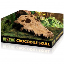 Exo Terra Terrarium Crocodile Skull Decoration - 1 count - EPP-XPT2856 | Exo Terra | 2131