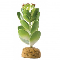 Exo-Terra Desert Jade Cactus Terrarium Plant - 1 Pack - EPP-XPT2984 | Exo-Terra | 2117