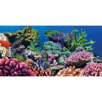 Aquatic Creations Coral Cling Aquarium Background - 36 Long x 18" Wide - EPP-YU00409 | Aquatic Creations | 2014"
