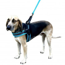 Sporn Easy Fit Dog Harness Blue - Small 1 count - EPP-YU20065 | Sporn | 1735