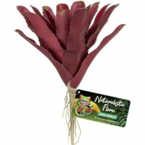 Zoo Med Naturalistic Flora Fireball Bromeliad - 1 count - EPP-ZM18060 | Zoo Med | 2117
