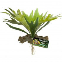 Zoo Med Naturalistic Flora Staghorn Fern - 1 count - EPP-ZM18065 | Zoo Med | 2117