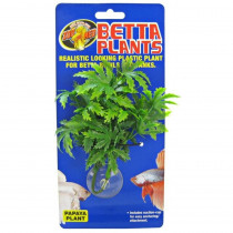 Zoo Med Aquatic Betta Plants - Papaya - Papaya Betta Plant - EPP-ZM24121 | Zoo Med | 2067
