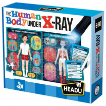 The Human Body Under X-Ray - HDUEN22762 | Headu Usa Llc | Puzzles