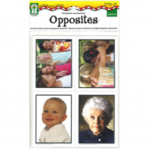 KE-845007 - Photographic Learning Cards Adjectives Opposites in Language Skills