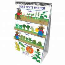 NP-340021 - Flip Charts All About Plants Early Childhood Science Readiness in Plant Studies