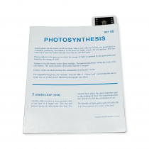 Microslide, Photosynthesis, 35mm - SKFT59 | Supertek Scientific | Microscopes