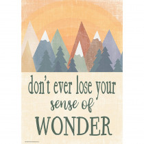 Don't Ever lose Your Sense of Wonder Positive Poster - TCR7458 | Teacher Created Resources | Motivational