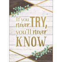 If You Never Try, You'll Never Know Positive Poster - TCR7979 | Teacher Created Resources | Motivational