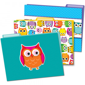 Colorful Owls File Folders