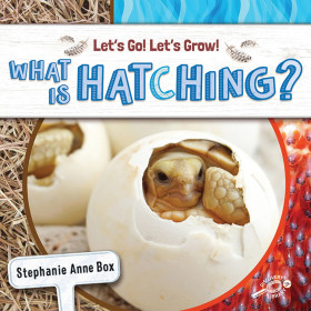 What Is Hatching?