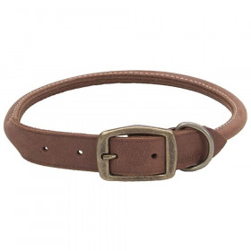 CircleT Rustic Leather Dog Collar Chocolate - 20"L x 3/4"W