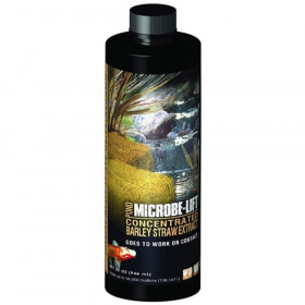 Microbe-Lift Barley Straw Concentrated Extract - 32 oz