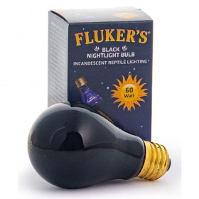 Flukers Black Nightlight Incandescent Bulb - 60 Watt