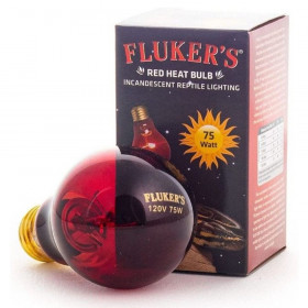 Flukers Red Heat Incandescent Bulb - 75 Watt