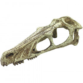 Komodo Raptor Skull Terrarium Decoration - Large - 1 count
