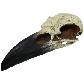 Komodo Raven Skull Terrarium Decoration - Medium - 1 count