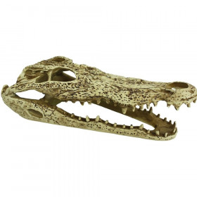 Komodo Alligator Skull Terrarium Decoration - 1 count