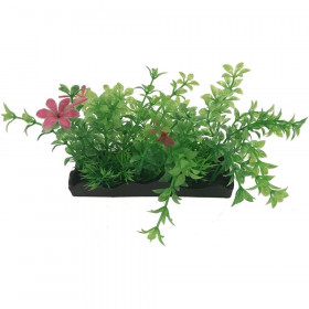 Penn Plax Green and Pink Bunch Plants Medium - 1 count