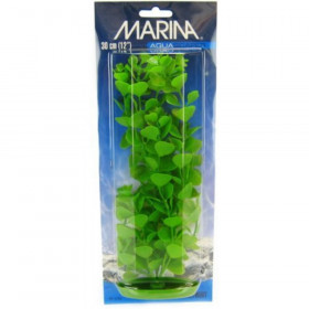 Marina Aquascaper Moneywort Plant - 12" Tall
