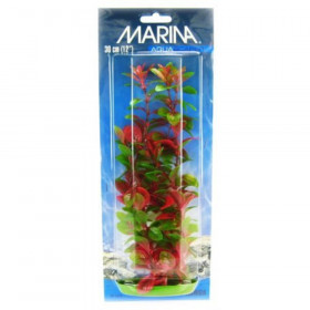 Marina Red Ludwigia Plant - 12" Tall