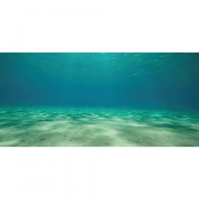 Aquatic Creations Ocean Floor Cling Aquarium Background - 36" Long x 18" Wide