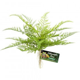 Zoo Med Naturalistic Flora Lace Fern - 1 count