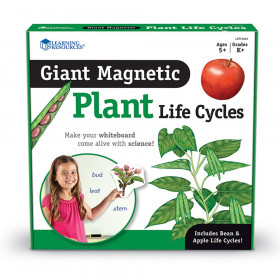Giant Magnetic Plant Life Cycle Set, Set of 12