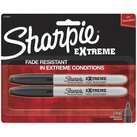 Extreme Permanent Markers, 2-Pack, Black