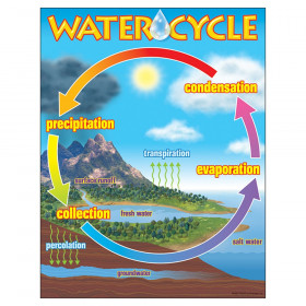 The Water Cycle Learning Chart, 17" x 22"