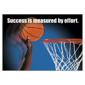 Success is measured by... ARGUS Poster, 13.375" x 19"