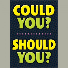 COULD YOU? SHOULD YOU? ARGUS® Poster