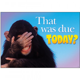 That was due today? ARGUS® Poster