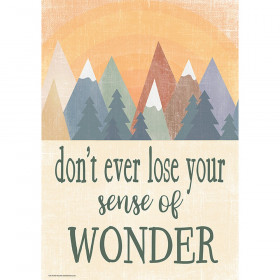 Don't Ever lose Your Sense of Wonder Positive Poster