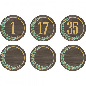 Eucalyptus Numbers Magnetic Accents, 2-1/4", Pack of 42