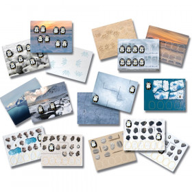 Pre-Coding Penguin Activity Cards, Set of 16