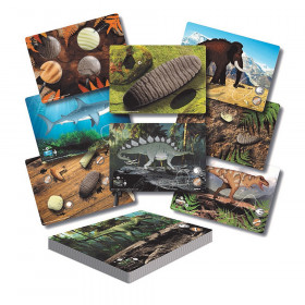 Prehistoric Teeth - Explore and Discover Activity Cards, Set of 16