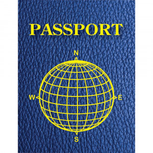 ASH10708 - Blank Passports Pack Of 12 in Writing Skills