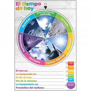 ASH91602 - Wheel Poly Chart Weather Spanish Dry-Erase Surface in Classroom Theme