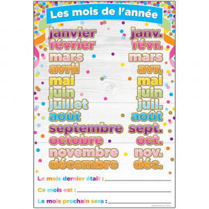 ASH93005 - Chart French Months Of The Year Dry-Erase Surface in Classroom Theme