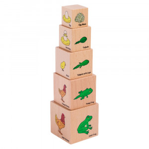 Lifecycle Wooden Blocks - Set of 5 - CTUFF466 | Learning Advantage | Animals