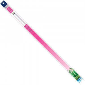 Aqueon T8 Colormax Fluorescent Lamp - 24 - 17 watt - EPP-AU00451 | Aqueon | 2019"